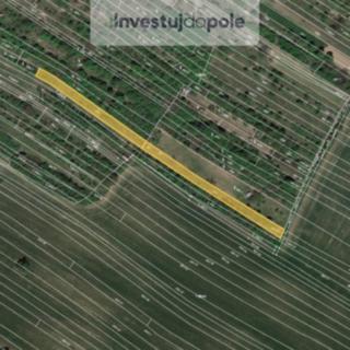 Prodej zemědělské půdy 2 027 m² Klobouky u Brna