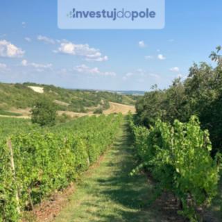 Prodej ostatních pozemků 1328 m² Starovičky