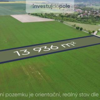 Prodej zemědělské půdy 13 936 m² Velký Borek Skuhrov