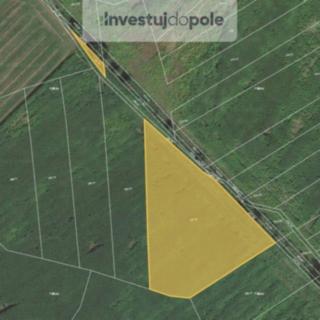 Prodej zemědělské půdy 11770 m&sup2; Štítov