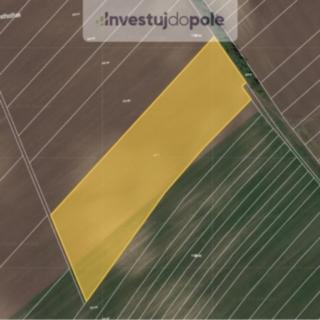 Prodej zemědělské půdy 11711 m&sup2; Nový Poddvorov