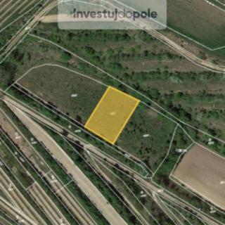 Prodej zemědělské půdy 1 014 m² Velké Pavlovice