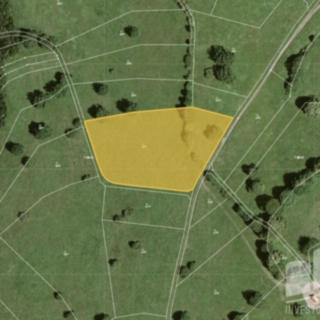 Prodej louky 1168 m&sup2; Javorník