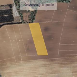 Prodej zemědělské půdy 10394 m² Dolní Břežany