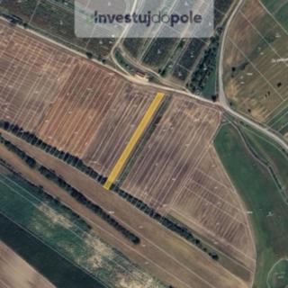 Prodej zemědělské půdy 1 199 m² Šardice
