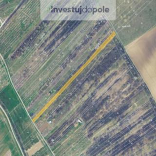 Prodej ostatního pozemku 2 359 m² Lovčičky