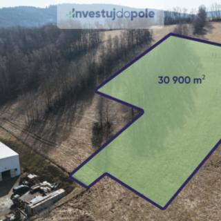 Prodej louky 30 800 m² Vimperk