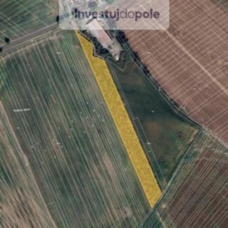 Prodej ostatních pozemků 11718 m² Šardice