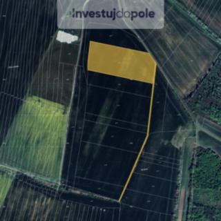 Prodej zemědělské půdy 2 353 m² Medlice