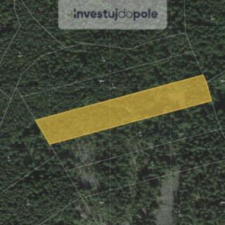Prodej lesa 12 455 m² Stachy