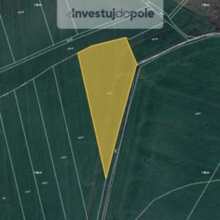 Prodej zemědělské půdy 2 877 m² Cerhenice