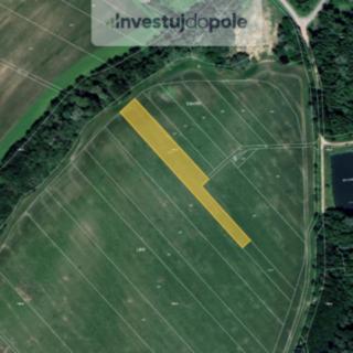 Prodej podílu zemědělské půdy 1281 m² Věžky