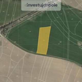 Prodej zemědělské půdy 1 726 m² Žďárná