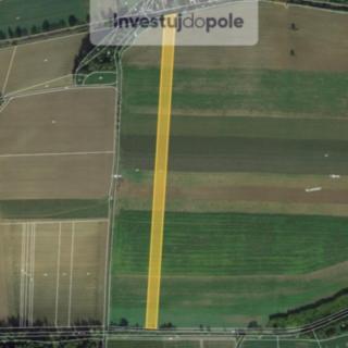 Prodej zemědělské půdy 10363 m&sup2; Pšovlky