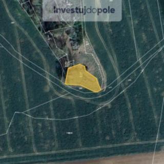 Prodej lesa 1 294 m² Ronov nad Doubravou