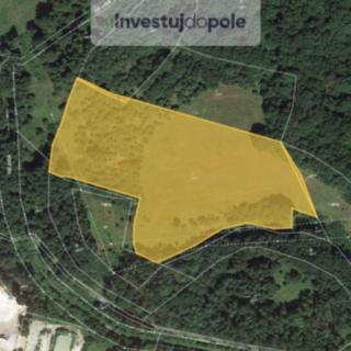 Prodej louky 6450 m&sup2; Nová Role