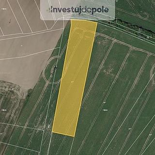 Prodej zemědělské půdy 10199 m&sup2; Chotěšice