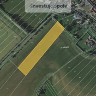 Prodej zemědělské půdy 3386 m&sup2; Pavlov