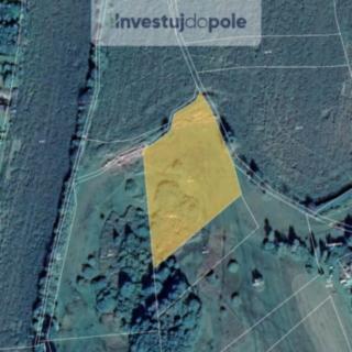 Prodej louky 7780 m&sup2; Nový Rychnov