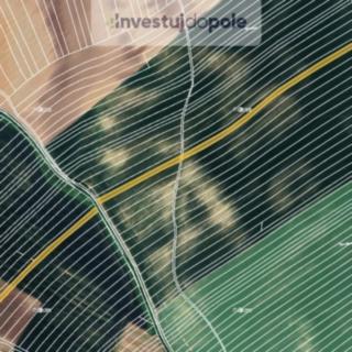 Prodej zemědělské půdy 8100 m&sup2; Čejkovice