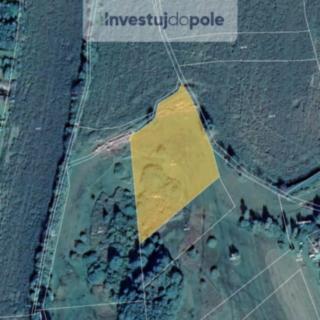 Prodej louky 7 780 m² Nový Rychnov Sázava