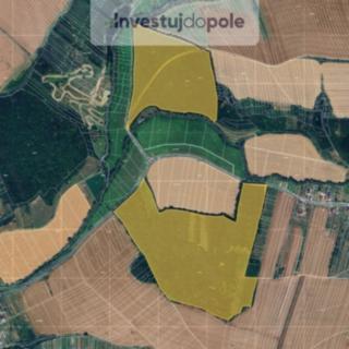 Prodej lesa 2390 m² Částkov