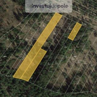 Prodej lesa 7304 m² Zálezly