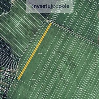 Prodej zemědělské půdy 2265 m&sup2; Brno