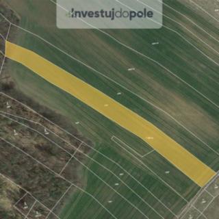 Prodej zemědělské půdy 4467 m&sup2; Ondřejov