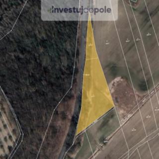 Prodej louky 4 205 m² Šumperk