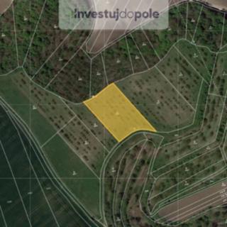 Prodej ostatních pozemků 3444 m² Kobylí
