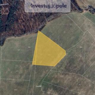 Prodej zemědělské půdy 3 451 m² Krakovany