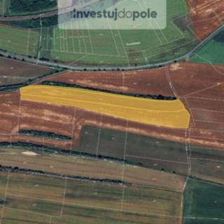 Prodej zemědělské půdy 9638 m&sup2; Čečelice