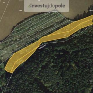 Prodej lesa 6626 m² Kozojedy