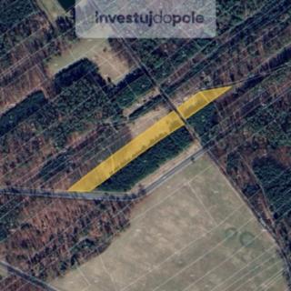 Prodej zemědělské půdy 2 005 m² Krakovany