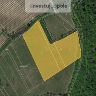 Prodej louky 24706 m&sup2; Horní Věstonice