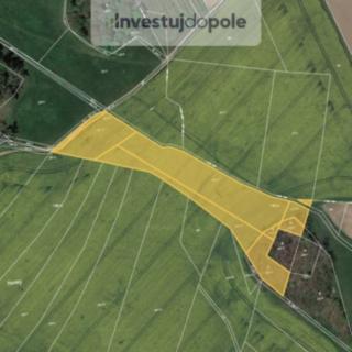 Prodej zemědělské půdy 7567 m&sup2; Týnec nad Labem