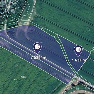 Prodej zemědělské půdy 9289 m² Morašice