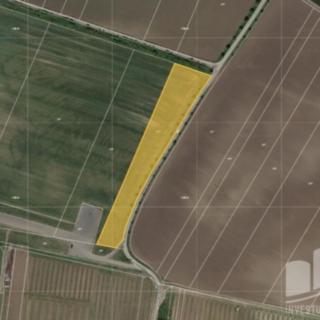 Prodej zemědělské půdy 7040 m&sup2; Popice
