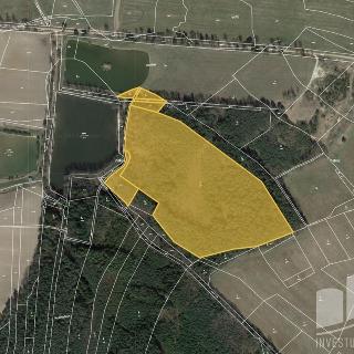 Prodej lesa 57676 m² Višňová