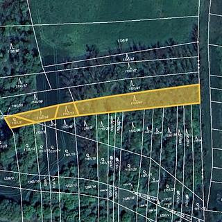 Prodej lesa 1918 m² Morašice