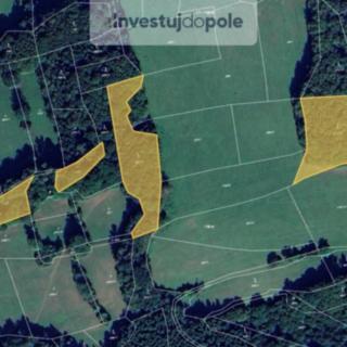Prodej lesa 15 391 m² Valašská Polanka