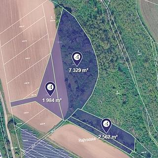 Prodej lesa 1979 m² Vojkovice