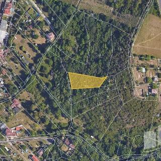 Prodej zemědělské půdy 1 294 m² Trmice