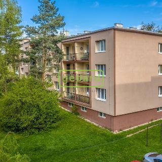 Prodej bytu 2+1 53 m² Odolena Voda, V Malém háji