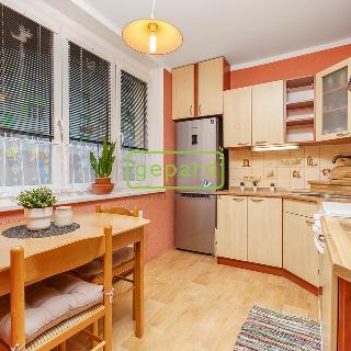 Prodej bytu 3+1 71 m² Habartov, Mírová