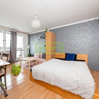 Prodej bytu 1+kk a garsoniéry 33 m² Praha, Košťálkova