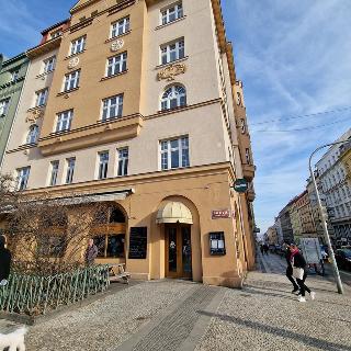 Pronájem bytu 3+kk 110 m² Praha, Veletržní