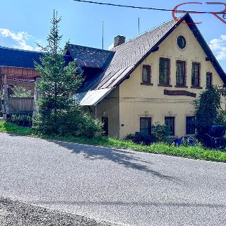 Prodej rodinného domu 450 m² Janov nad Nisou, 