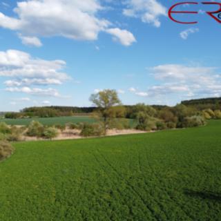 Prodej louky 28150 m&sup2; Městec Králové